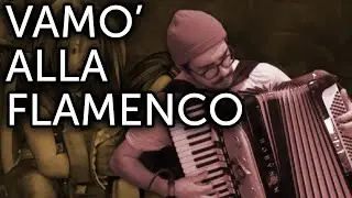 Vamo' Alla Flamenco (Final Fantasy IX) [accordion cover]