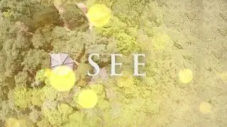 SEE (PEMD)