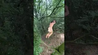 Brutal Treejump