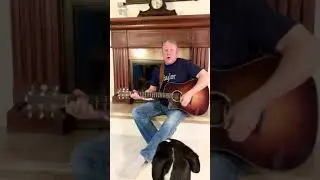 COVID BLUES (Parody) - Elvis Presley’s Blue Suede Shoes