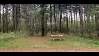 Laurel Creek Conservation Area (Red Trail)