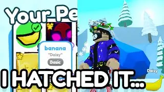 I HATCHED A BANANA IN PET SIM X!!!