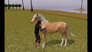 pet needs less space mod