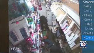 Police: Armed robbers caught on camera pistol-whipping clerk during robbery of Miami grocery store