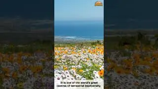 Cape Floral Region Protected Areas