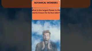 What is the largest flower? #mindchallenge #guessinggame #intellectualchallenge #crackthecode