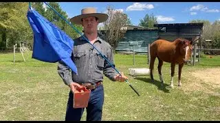 What To Do With A Horse That Crowds At Feed Time