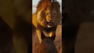 Brave Dog Saves Tourist from Lion Attack
