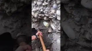 Finding Jade