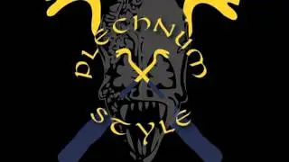 Plechnum Frame - Change