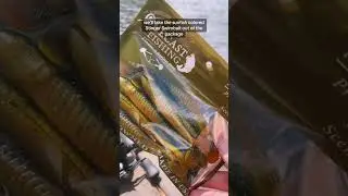 Untitled video