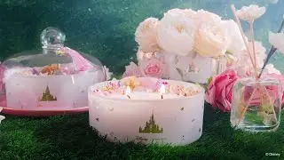 Princess Deluxe Collection AVAILABLE NOW - Disney X Short Story