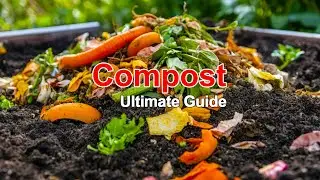 How to Make Compost at Home | Natural Fertilizer for Healthy Plants