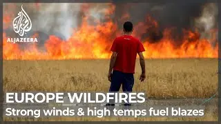 &lsquo;Heat apocalypse&rsquo;: Europe in the grip of record-breaking heatwave