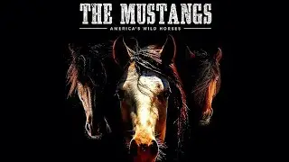 Echoes of the Plains: The Saga of America's Wild Mustangs