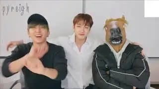 3racha'nın at kafalı yayını