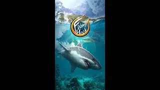 Fishing Hook Gameplay walkthrough (Android, iOS) - Part- 10 MinGamePlay Android Gameplay