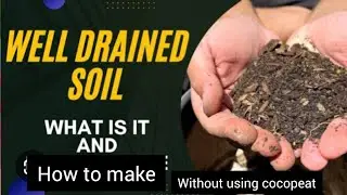 Make well drained soil without using cocopeat#gardenplants #soilmixture #pottingmix #terracegarden
