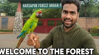 ⛵ Narsapur forest Urban park at Hyderabad|| Alphavlogs98|| Best park 🏞️ at Kondapur Hyderabad|| 