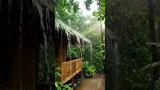 Rain on Forest #rain #relax #deepsleepsounds #forestwhispers #rainsounds