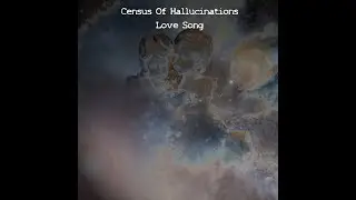 Census Of Hallucinations - Love Song