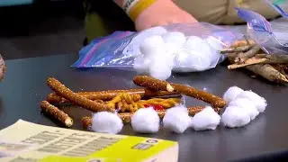 Learning outdoor skills from the Boy Scouts