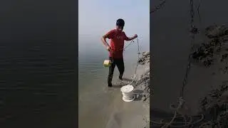 Traditional fishing idea by hook traps #fishing #fishinglife