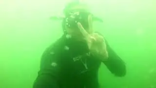 freediving with jellyfish