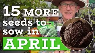 15 MORE Seeds to sow in April + chocolate cabbage