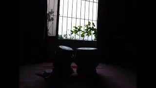 Tabla : Ustad Amir Hussain Khan