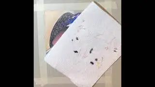 Rainbow lips  time lapse drawing