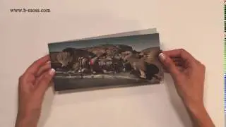 Picture Changing Direct Mailer with Slider Effect