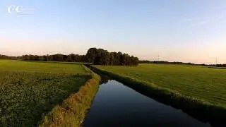 Prachtige groene Natuur in de regio Mierlo Hout