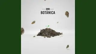 SENSACIONES