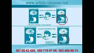Програма Helth & Body Control