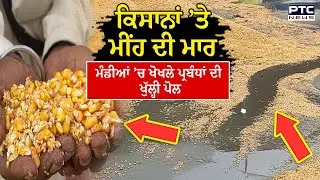 Jagraon ਮੀਂਹ ਕਾਰਨ ਕਿਸਾਨਾਂ ਦੀ ਫਸਲ ਹੋਈ ਖ਼ਰਾਬ, ਪ੍ਰਬੰਧਾਂ ਦੀ ਖੁੱਲ੍ਹੀ ਪੋਲ