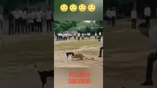 kun kispe bhari #shortvideo #trending #funny #animals
