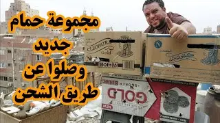 فتح 3 كراتين حمام وصلوا عن طريق الشحن أنواع جديده وأحجام عملاقه