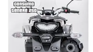 Consumo Tenere 250 gasolina 2018