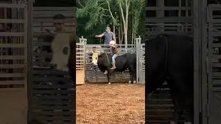 Luke&rsquo;s first ride on a big bull named Niager #bullriding #bullriders #rodeo