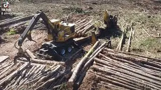 Eastern NC Logging  Tigercat 250D