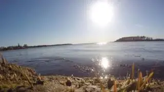 The Cape Cod Life
