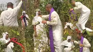 Prophet Austine Captures the Evil Priestess Hiding Inside a Tree - Unbelievable!