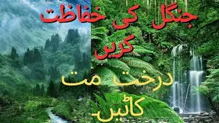 forest protection جنگل کی حفاظت کریں۔        #pakistan #forest #youtube #viral