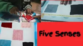 paste the cutouts of different textured cloths.Then touch each of them and tell how it feels.