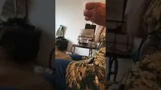 Pug Puppy Jumping and Climbing Begging for Food