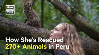 Amazon’s ‘Wildcat’ Doc Tells the Story of This Conservationist’s Work in Peru