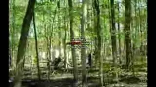 DMZ paintball