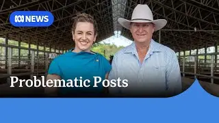 Land council &lsquo;appalled&rsquo; at &lsquo;racist&rsquo; tweets by incoming NT administrator | ABC NEWS