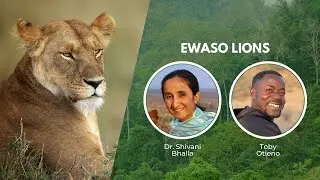 Community Based Efforts to Protect Lions in Kenya | Wildlife Conservation Expo 2022